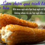 Những công dụng thần kì của ngô (bắp) Những công dụng thần kì của ngô (bắp)