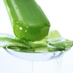 Những thảo dược thay thế cho mỹ phẩm Những thảo dược thay thế cho mỹ phẩm