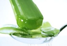 Những thảo dược thay thế cho mỹ phẩm Những thảo dược thay thế cho mỹ phẩm