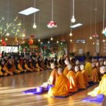 Những trái tim đồng dạng (P5) Những trái tim đồng dạng (P5)