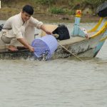 Phóng sanh tội hay phước Phóng sanh tội hay phước