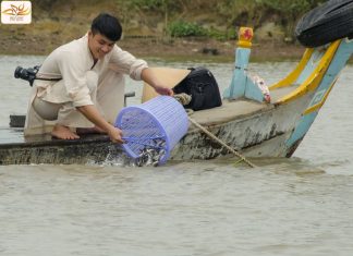 Phóng sanh tội hay phước Phóng sanh tội hay phước
