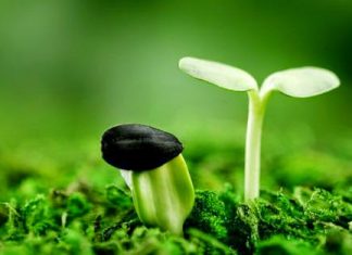 Quan điểm của Phật giáo về thái độ sống bảo vệ môi sinh Quan điểm của Phật giáo về thái độ sống bảo vệ môi sinh