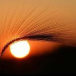 Rồi có một chiều Rồi có một chiều