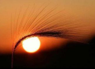 Rồi có một chiều Rồi có một chiều