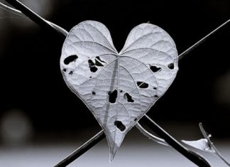 Sống như là… Sống như là...