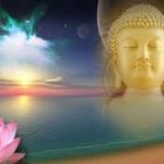 Sự tái sinh su-tai-sinh