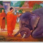 Tâm từ bi hay đem lại hạnh phúc cho mọi người Tâm từ bi hay đem lại hạnh phúc cho mọi người