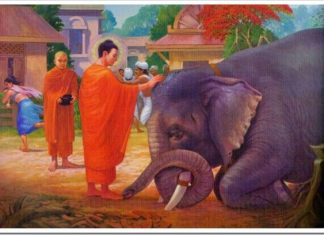 Tâm từ bi hay đem lại hạnh phúc cho mọi người Tâm từ bi hay đem lại hạnh phúc cho mọi người