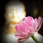 Thông điệp Hộ pháp từ một bàn tay Thông điệp Hộ pháp từ một bàn tay