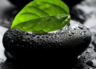 Tôi không yêu được hai lần Tôi không yêu được hai lần