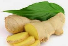 Trị ốm nghén cho phụ nữ mang thai bằng gừng tươi Trị ốm nghén cho phụ nữ mang thai bằng gừng tươi