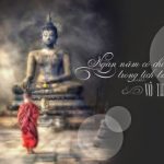 Và con đã đi như chưa từng đến Và con đã đi như chưa từng đến