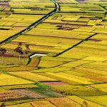 Việt Nam đất nước tôi Việt Nam đất nước tôi