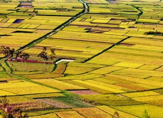 Việt Nam đất nước tôi Việt Nam đất nước tôi