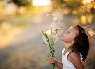 Vừa nhắm mắt vừa mở cửa sổ Vừa nhắm mắt vừa mở cửa sổ