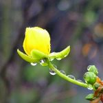 Xuyên qua sợ hãi Xuyên qua sợ hãi