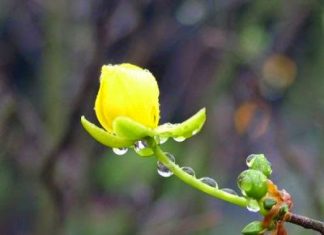 Xuyên qua sợ hãi Xuyên qua sợ hãi