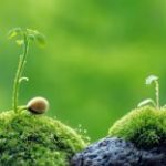 Đừng để chết mà chẳng bao giờ sống Đừng-để-chết-mà-chẳng-bao-giờ-sống