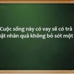 12 Điều Nhân Quả 12 Điều Nhân Quả