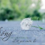 Vào Một Ngày, Tôi Không Còn Nữa…