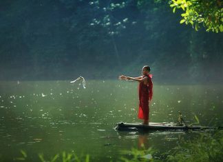 Hạnh lành phóng sinh