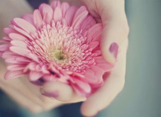 Ái ngữ – Lời nói Ái ngữ - Lời nói
