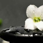 An bình tĩnh lặng (Phần cuối) An bình tĩnh lặng (Phần cuối)