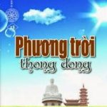 Phương trời thong dong Auto Draft
