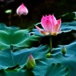 Ba thân và mũ giáp Ba thân và mũ giáp