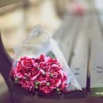 Bản ngã dục vọng Bản ngã dục vọng