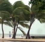 Bão về Bão về