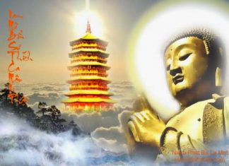 Bát chánh đạo Bát chánh đạo