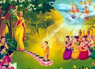 Bảy đóa sen thiêng Bảy đóa sen thiêng