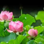 Bên bờ hư ảo Bên bờ hư ảo