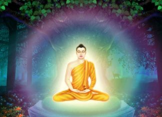 Biết điều hòa trong cuộc sống Biết điều hòa trong cuộc sống