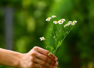 Biết Sống Tùy Duyên Biết Sống Tùy Duyên