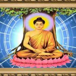 Bổn sư Bổn sư