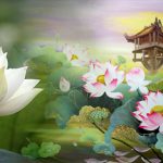 Bước Đầu Học Phật – 18. Hoa Sen Trong Bùn Bước Đầu Học Phật - 18. Hoa Sen Trong Bùn