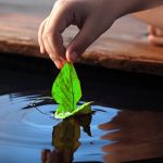 Bước Đầu Học Phật – 21. Cốt lõi của đạo Phật Bước Đầu Học Phật - 21. Cốt lõi của đạo Phật