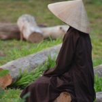Bước Đầu Học Phật – 24. Số mạng, nghiệp báo đồng hay khác? Bước Đầu Học Phật - 24. Số mạng, nghiệp báo đồng hay khác?