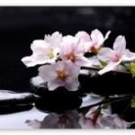 Câu đối của Sư ông Làng Mai Câu đối của Sư ông Làng Mai