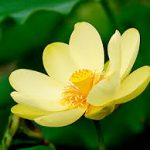 Cha mẹ và con cái Cha mẹ và con cái