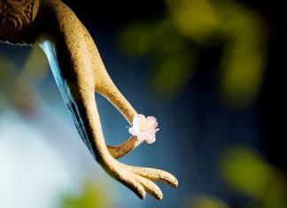 Chìa khoá của bạn ở đâu? Chìa khoá của bạn ở đâu?