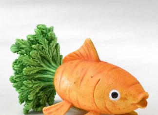 Chú thỏ câu cá bằng cà rốt Chú thỏ câu cá bằng cà rốt