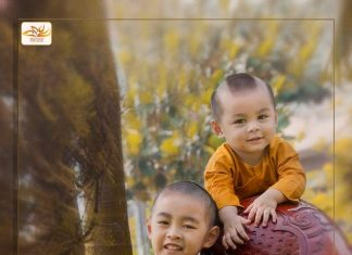 Chú tiểu & thư pháp (Phần 02) Chú tiểu & thư pháp (Phần 02)