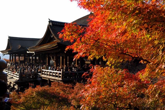 Chùa Kiyomizu – Di Tích Văn Hóa Cố Đô Kyoto Nhật Bản