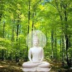 Con đường xuất ly Con đường xuất ly