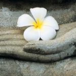 Công năng của phước đức cong-nang-cua-phuoc-duc