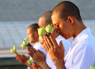 Đệ Tử Quy Đệ Tử Quy